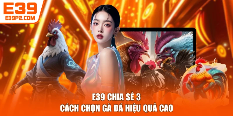 E39 chia sẻ 3 cách chọn gà đá hiệu quả cao