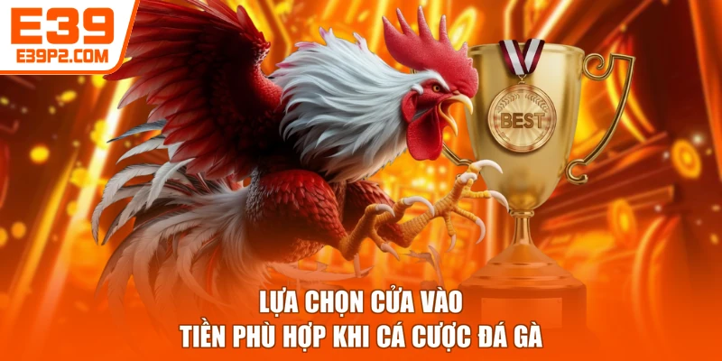 Lựa chọn cửa vào tiền phù hợp khi cá cược đá gà