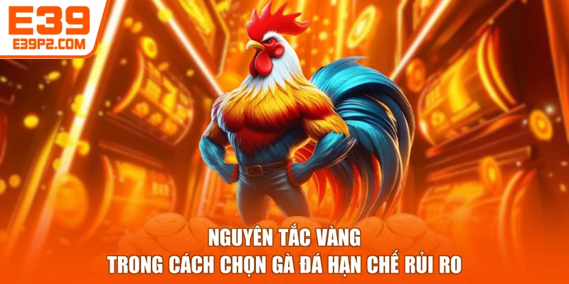 Nguyên tắc vàng trong cách chọn gà đá hạn chế rủi ro