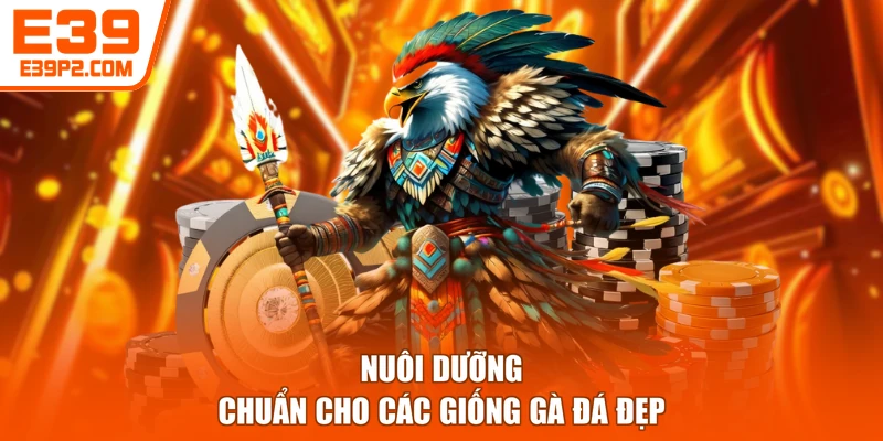 Nuôi dưỡng chuẩn cho các giống gà đá đẹp