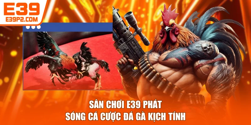 Sân chơi E39 phát sóng cá cược đá gà kịch tính